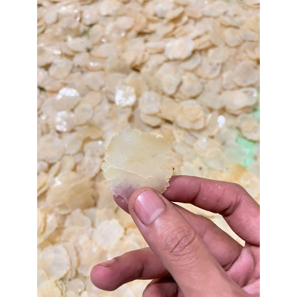 

EMPING MELINJO 1KG SP BIJI 1&2 FULL KERING SIAP GORENG