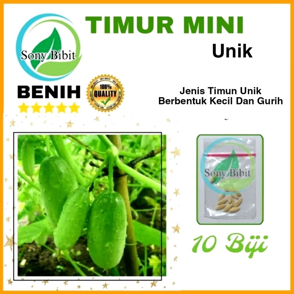 10 Biji Benih Timun Mini Unik Benih Ekonomis