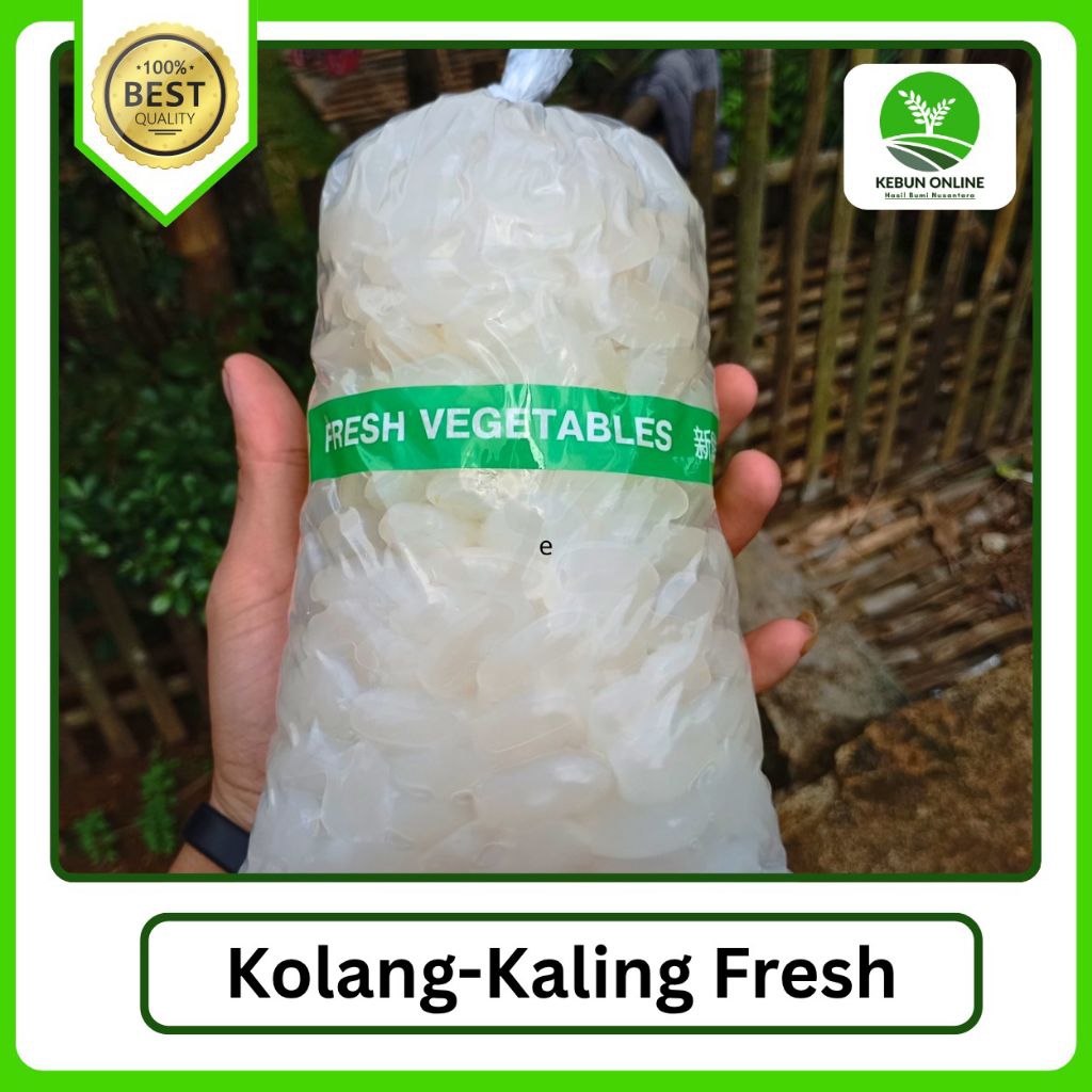 

Kolang-kaling Fresh [1kg] COD Murah kualitas Bagus 100℅ Original