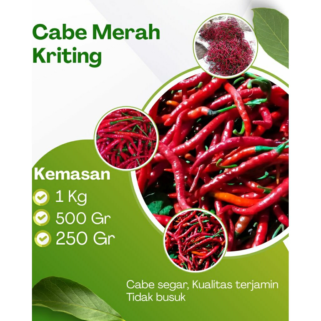

CABE KRITING, PEDAS, SEGAR, TIDAK BUSUK