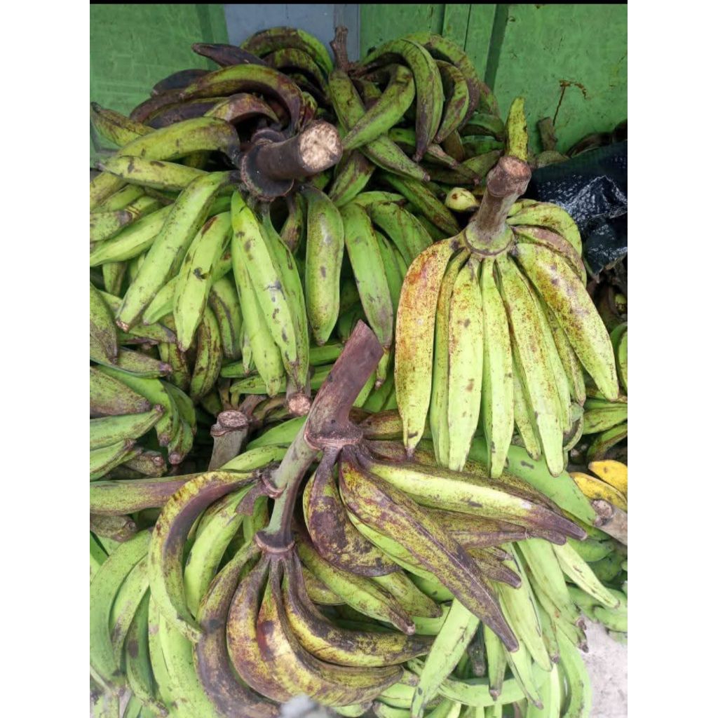 

Pisang Tanduk Madu Grosir 5.kg CARGO ,Gratis Ongkir Murah