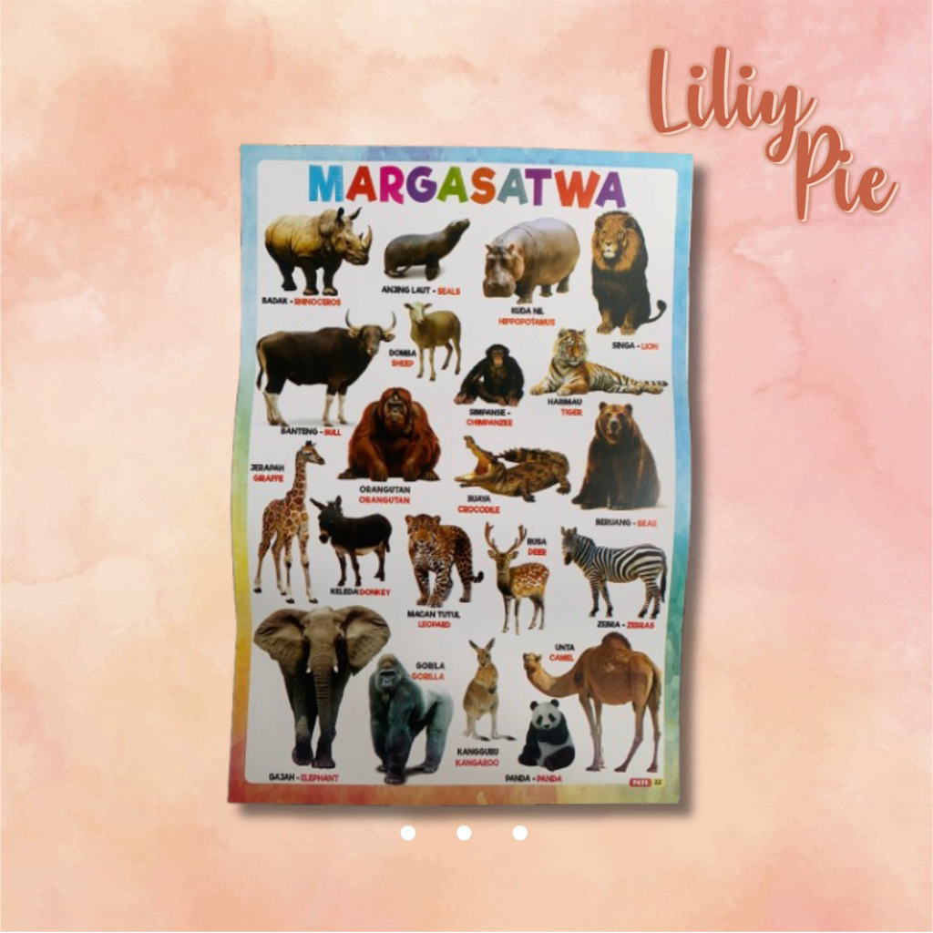 POSTER EDUKASI HEWAN • Belajar Anak Balita Bayi Cowok Cewek Pria Tempelam Dinding Kertas Tulisan Buk