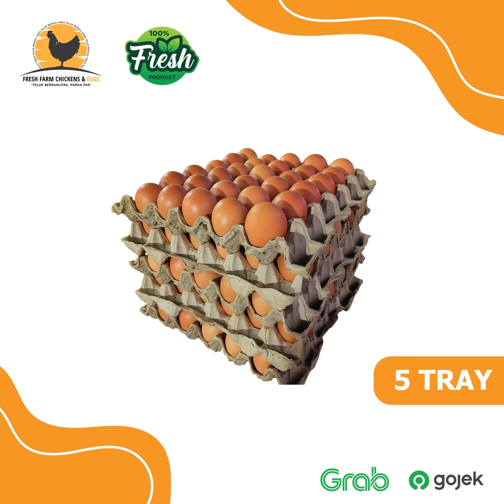 

Telur Ayam Negeri Premium Fresh Grade A - 5 Tray