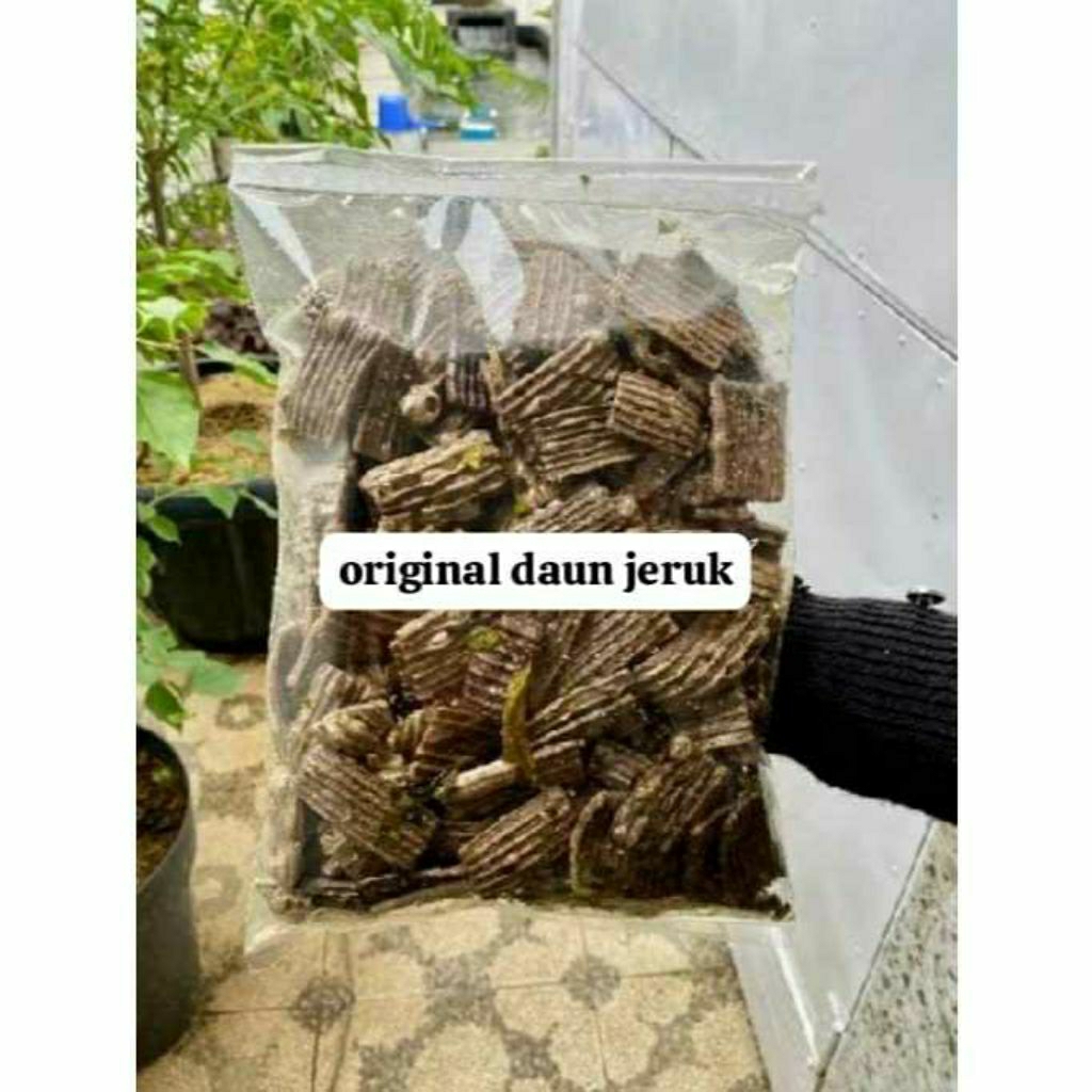 

SEUBLAK Kerupuk JENGKOL / KERUPUK ASBES