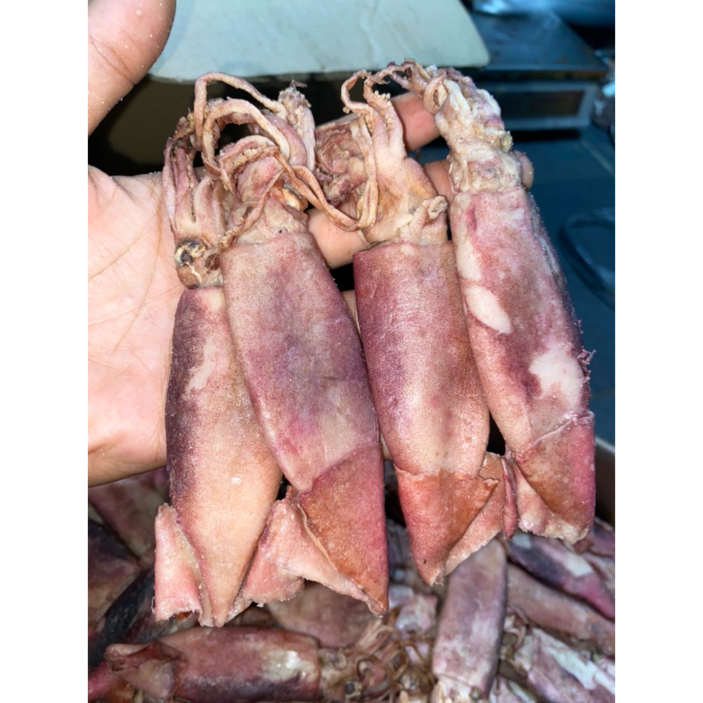 

Ikan asin CUMI CUMI KERING/CUMI ASIN