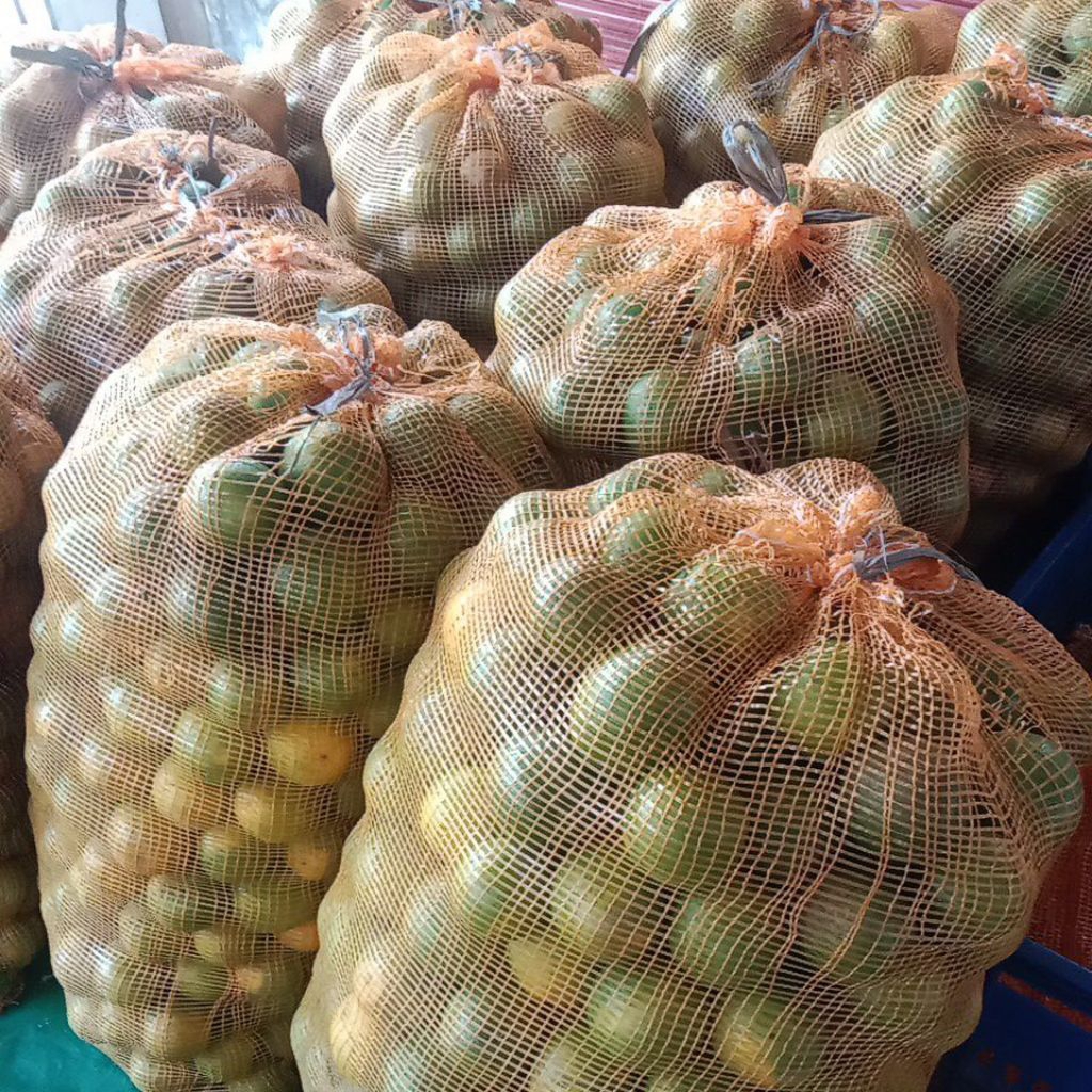 

Jeruk Baby Java Malang FRESH size BESAR 1Kg (bisa buat MPASI)