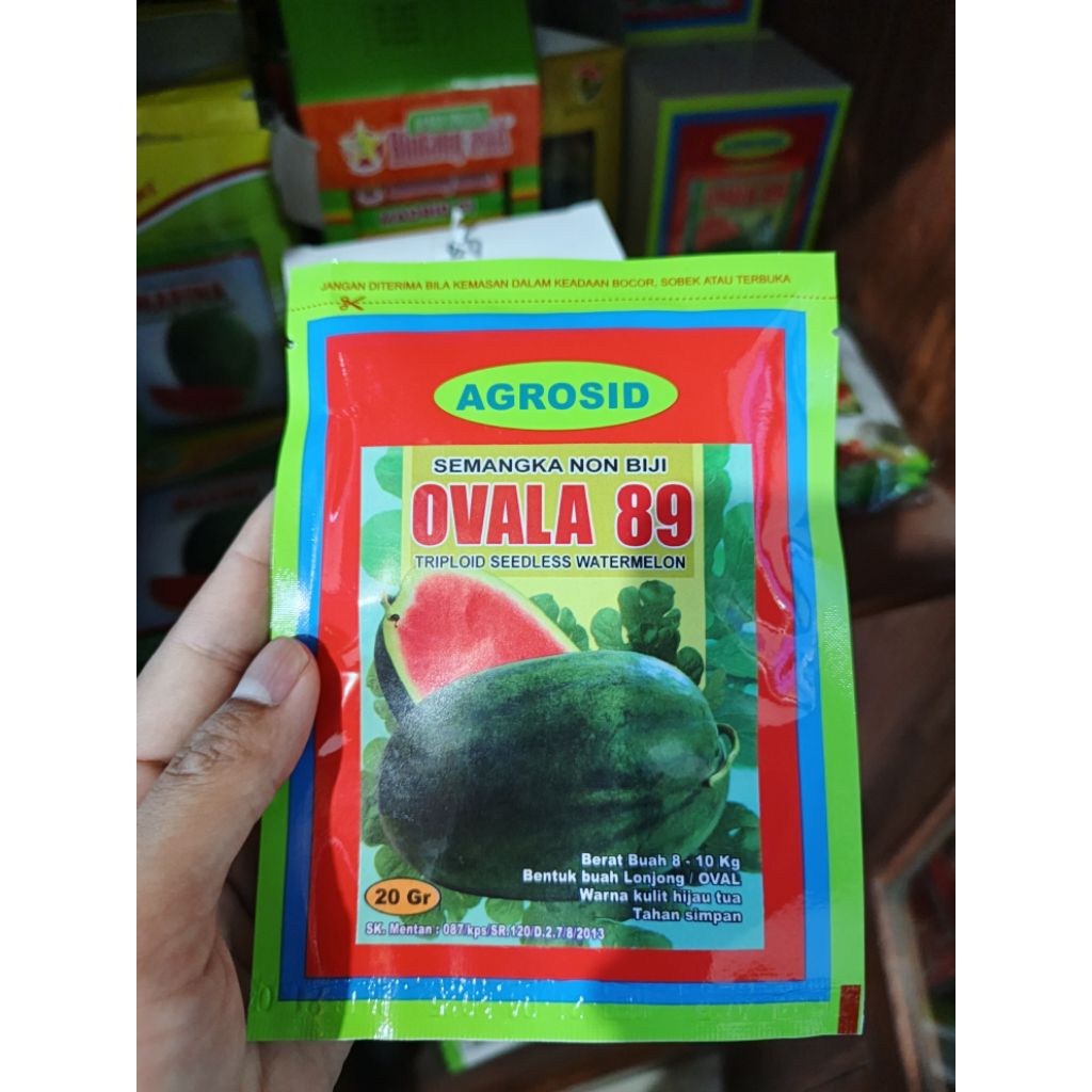 Bibit Semangka Lonjong Ovala 89 Non Biji Agrosid