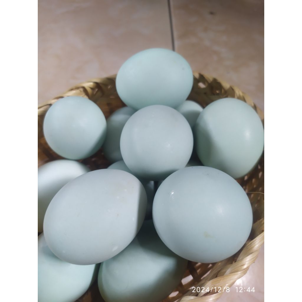 

Telur Asin Premium Grade AB 100% Asli | Gurih, Tidak Amis, Kuning Masir