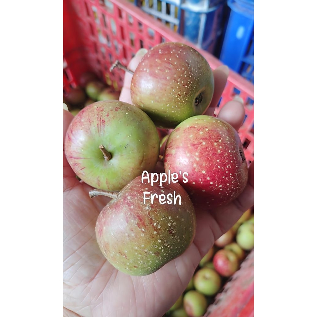 

apel roombeauty 25-27/kg