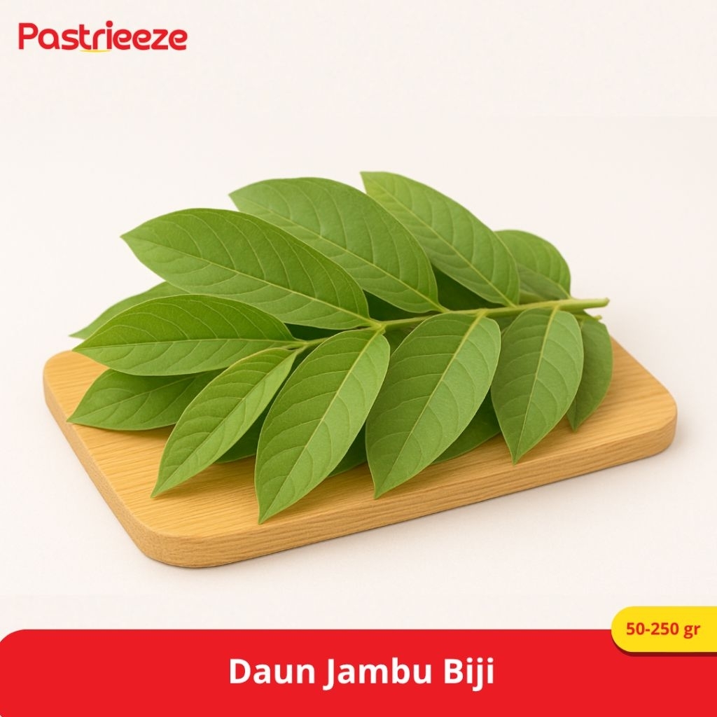 

Daun Jambu Biji – Daun Herbal Alami untuk Kesehatan & Olahan Tradisional