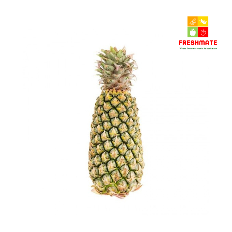 

Nanas Palembang/Kediri Segar Per Pcs Manis & Lembut Buah Lokal Premium Jatinangor Tanjungsari Cileunyi