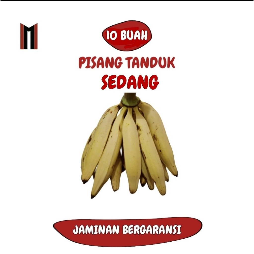 

(ISI 10) PISANG TANDUK SEDANG KECIL ASLI PATIAYAM