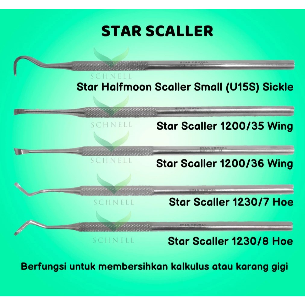 STAR Dental Scaler/ Scaller /Scalling Manual /Alat Scaling Manual - Dental Instruments