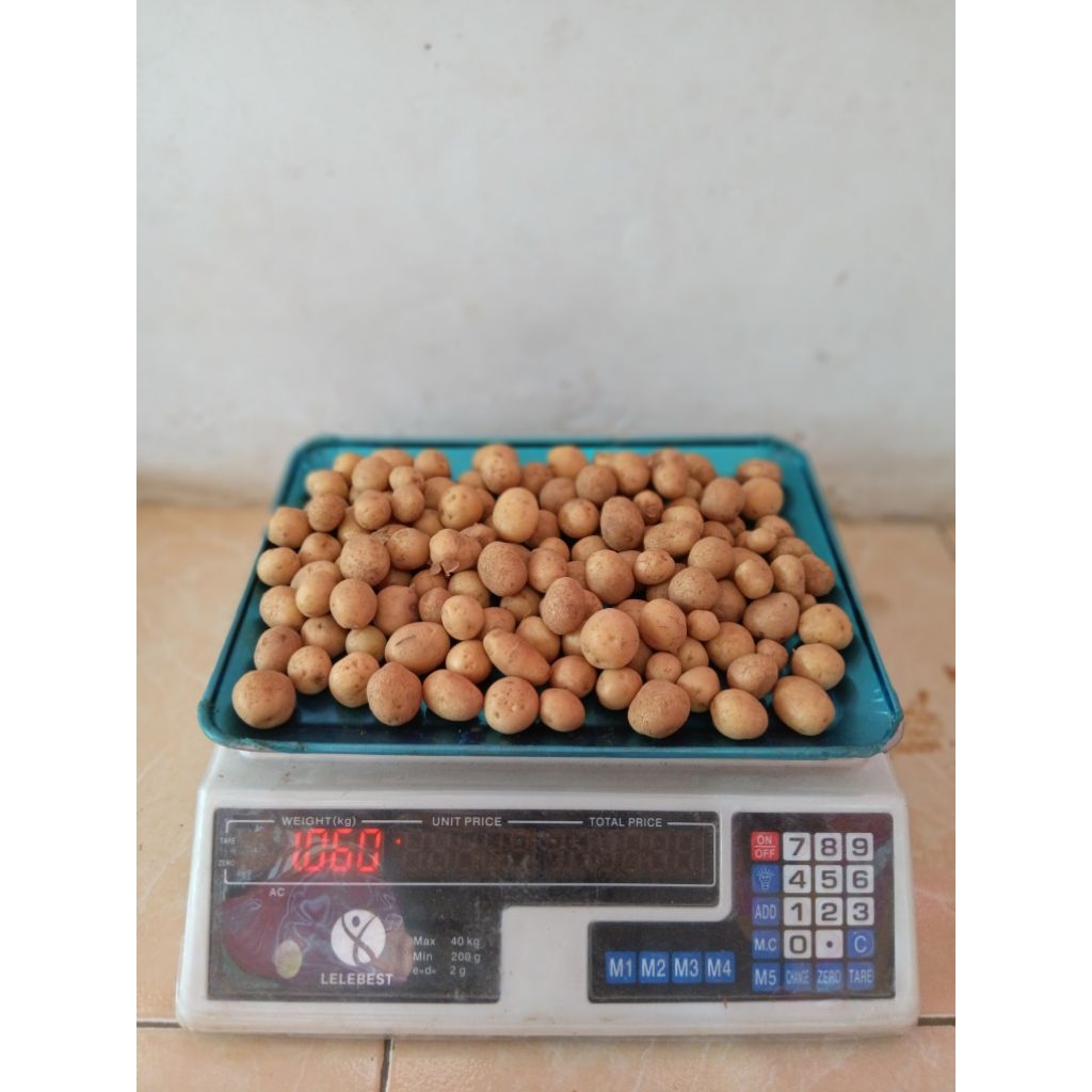 

Kentang Mini / rendang terlaris berkualitas