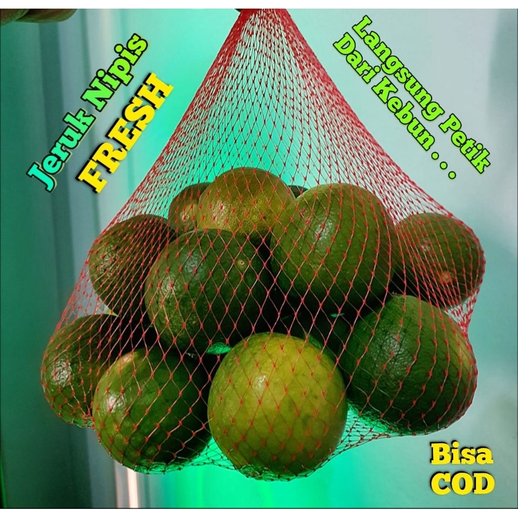 

jeruk Nipis 1kg Fresh (Langsung Petik dari Kebun)