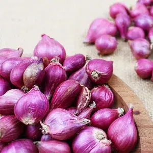 

Bawang Merah Brebes 100gr