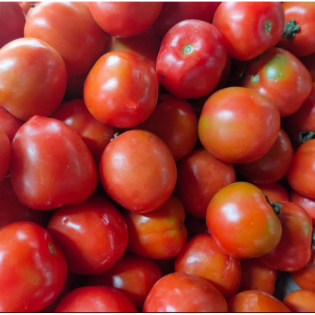 

tomat merah 500gram