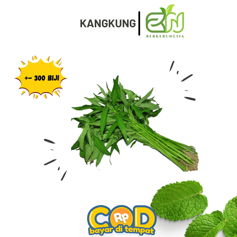 Benih/Biji Kangkung / Bibit Kangkung