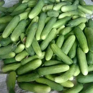 

Ketimun 1kg