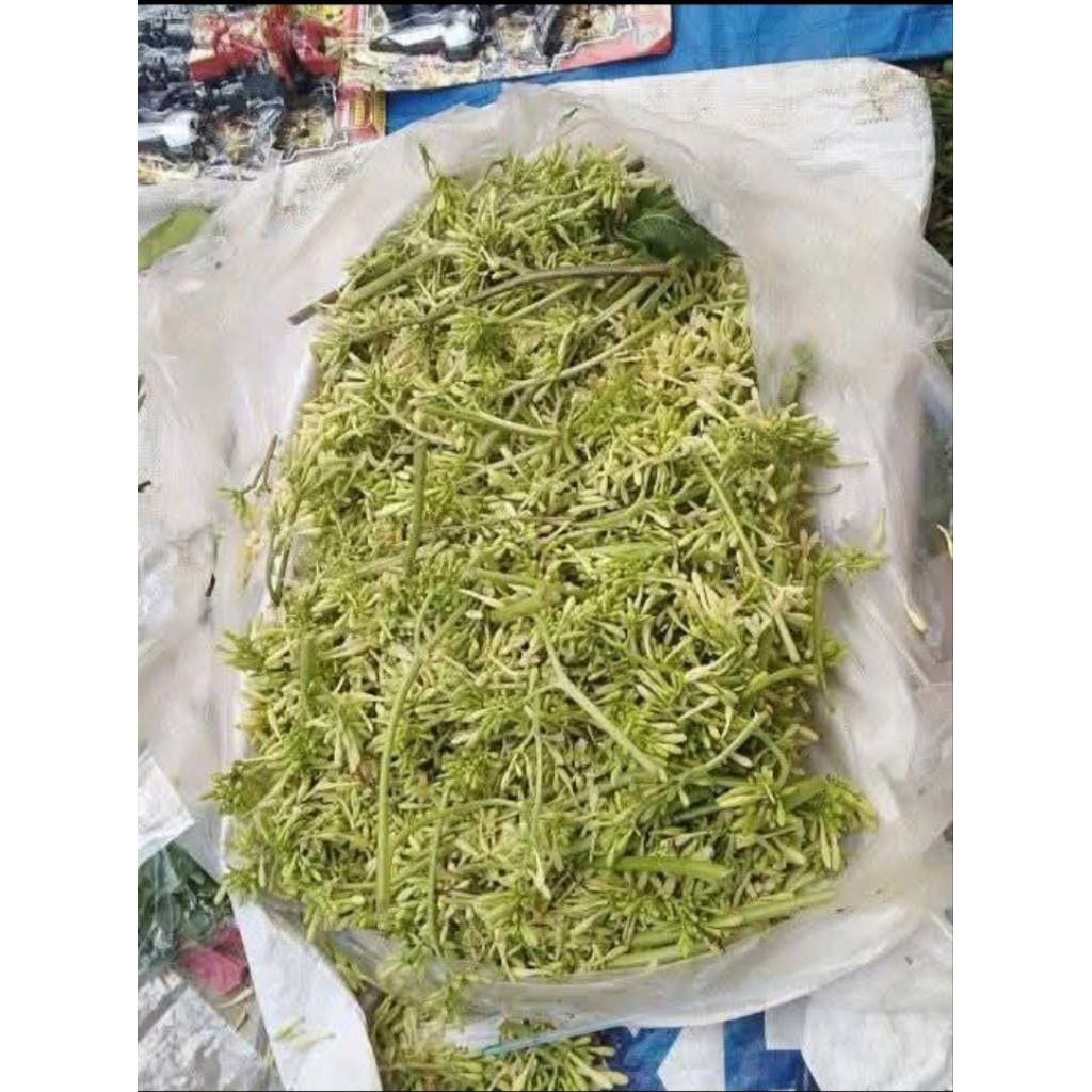 

Bunga pepaya gantung segar di petik dadakan per 250grm