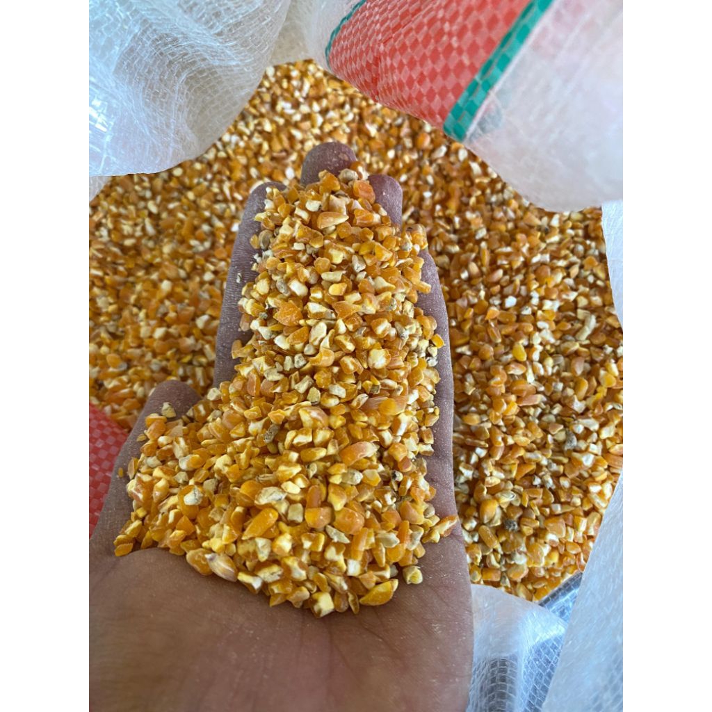 

Jagung Giling Blower Pecah Besar 1kg