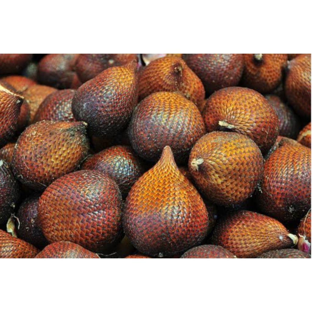 

buah salak pondok 1kg pilihan bppn
