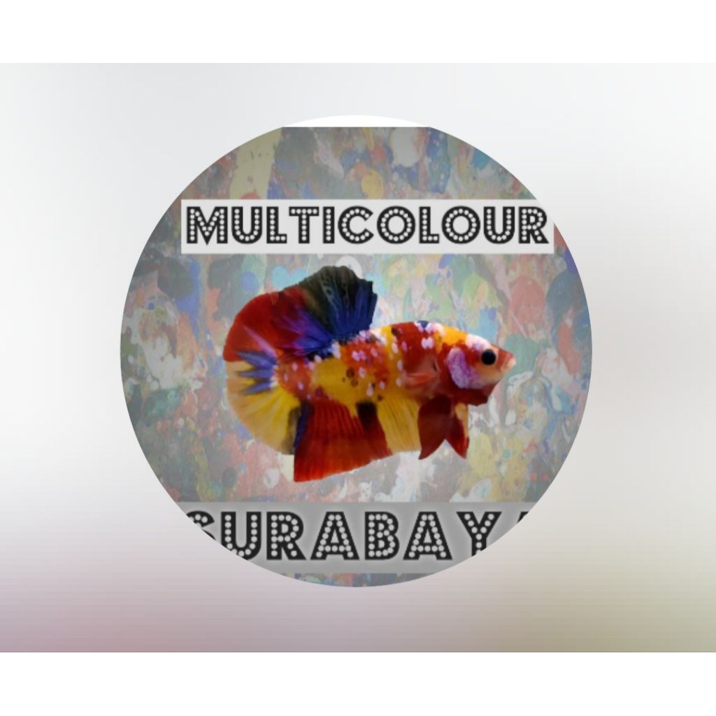 

1 colour nama massjaww