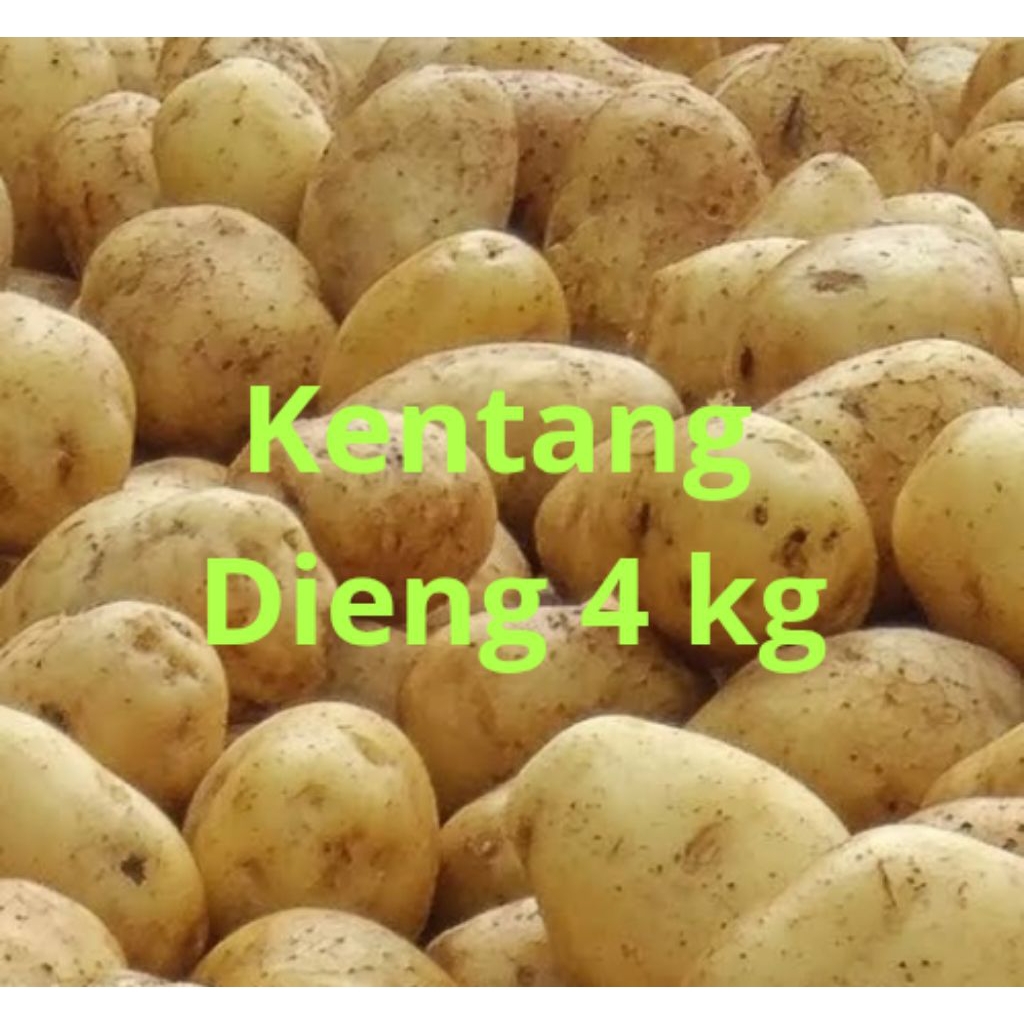

Bismillahirrahmanirrahim, Kentang Dieng ukuran sedang 4 kg