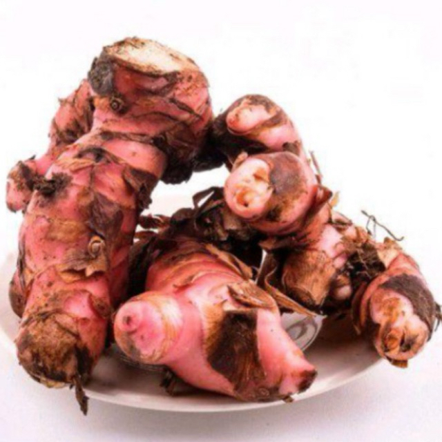 

LENGKUAS 1KG/LAOS 1KG/LENGKUAS MURAH/LAOS MURAH/LENGKUAS FRESH BARU PANEN/LAOS MERAH/EMPON EMPON