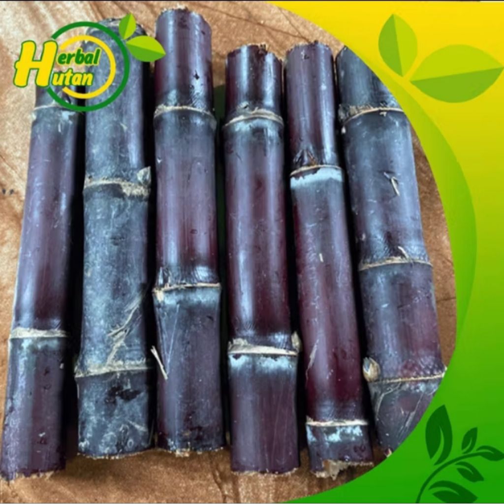 

jual tebu hitam asli 1Kg fresh tebu hitam atau tebu ireng