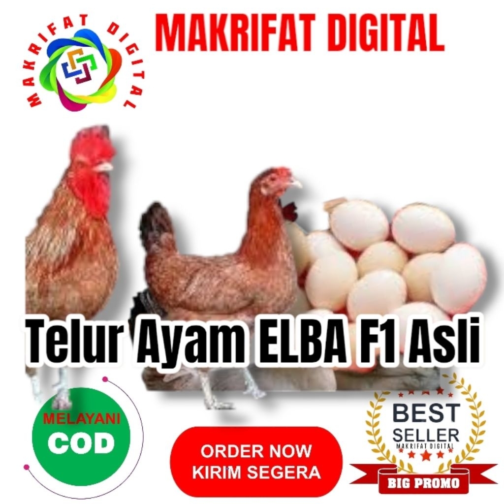 

MAKRIFAT DIGITAL Paket 40 Pcs Telur FERTIL Ayam ELBA F1 ASLI Untuk Ditetaskan Produksi Farm Profesional Mitra Makrifat Digital