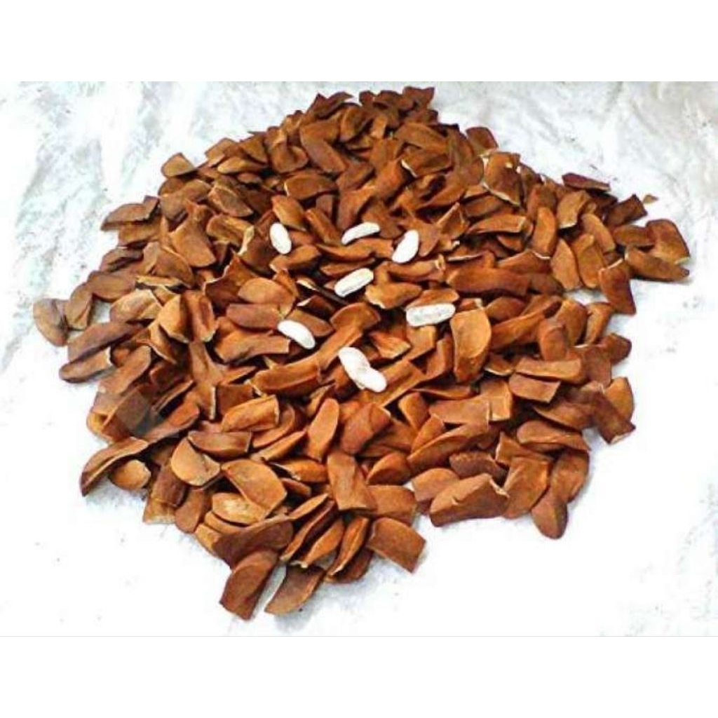 

Biji Pohon Mahoni Alam / biji mahoni 1 kg