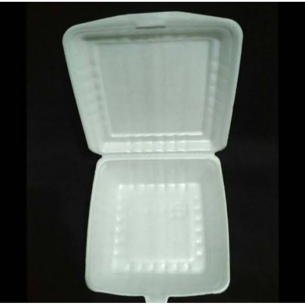 Foam Nasi kotak polos