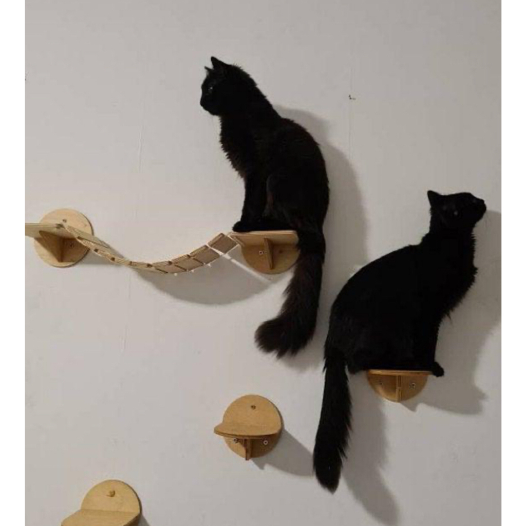 jembatan kucing dinding cat Bridge cat condo