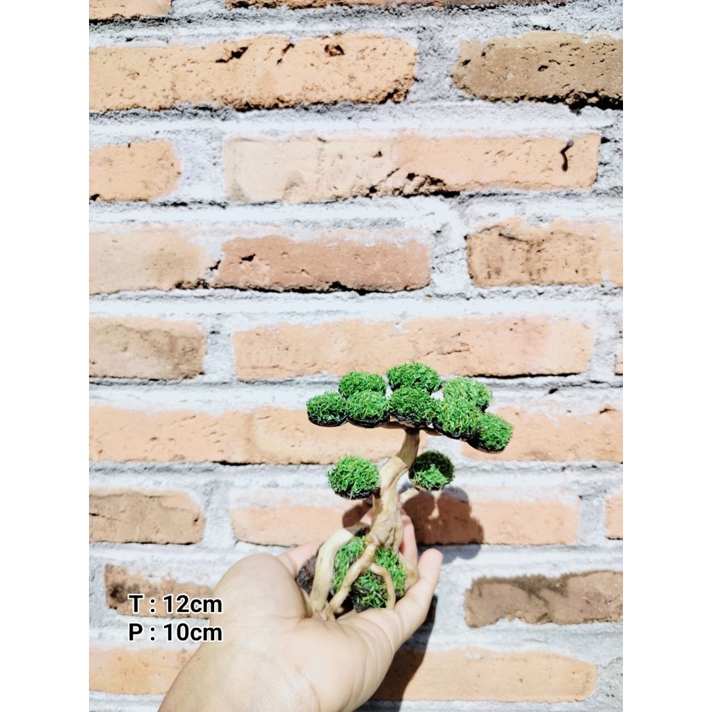 Bonsai Aquascape Sintetis