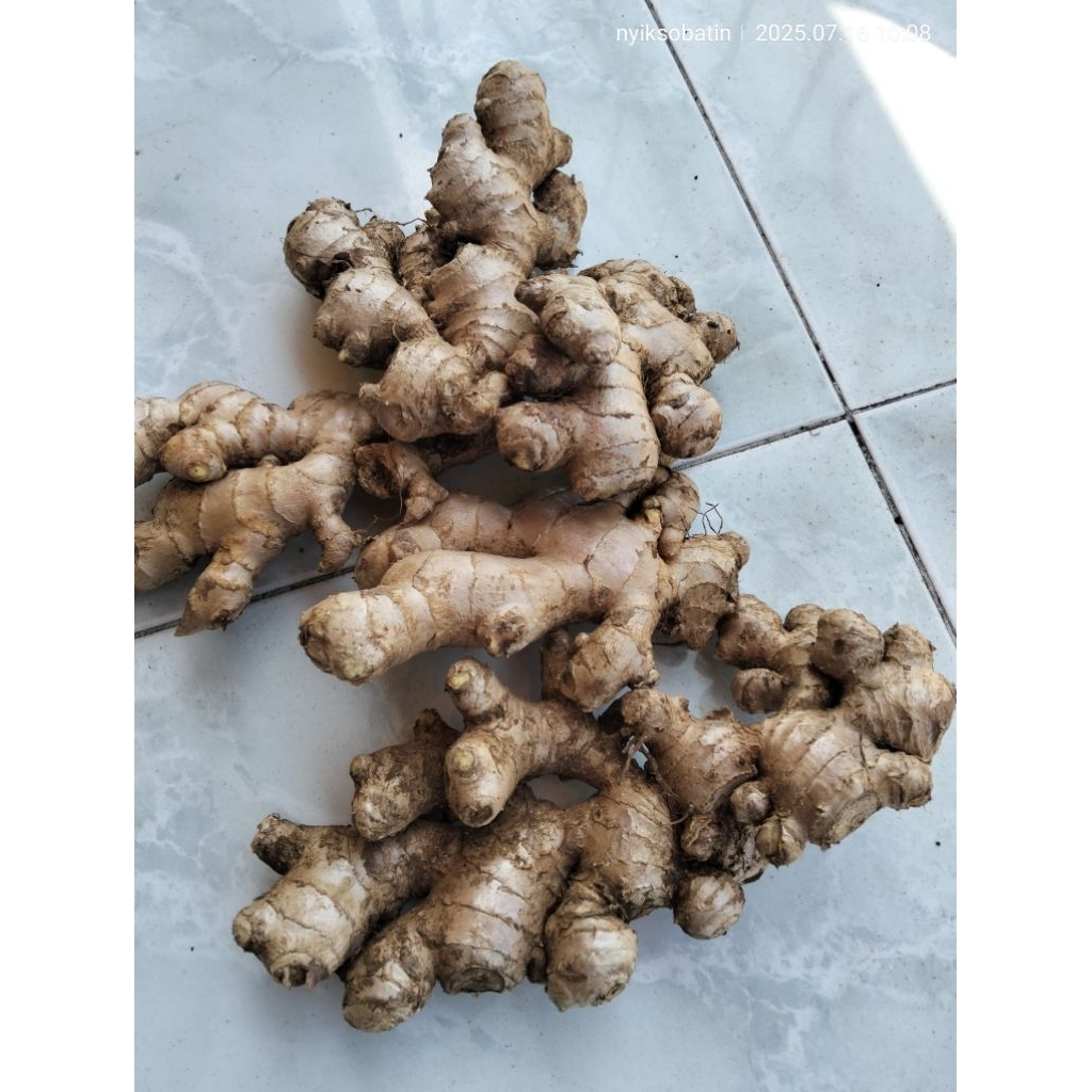 

jahe herbal 500 g