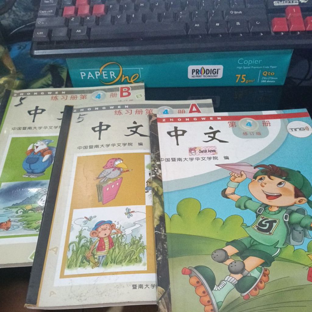 Buku Zhongwen 4, A dan B