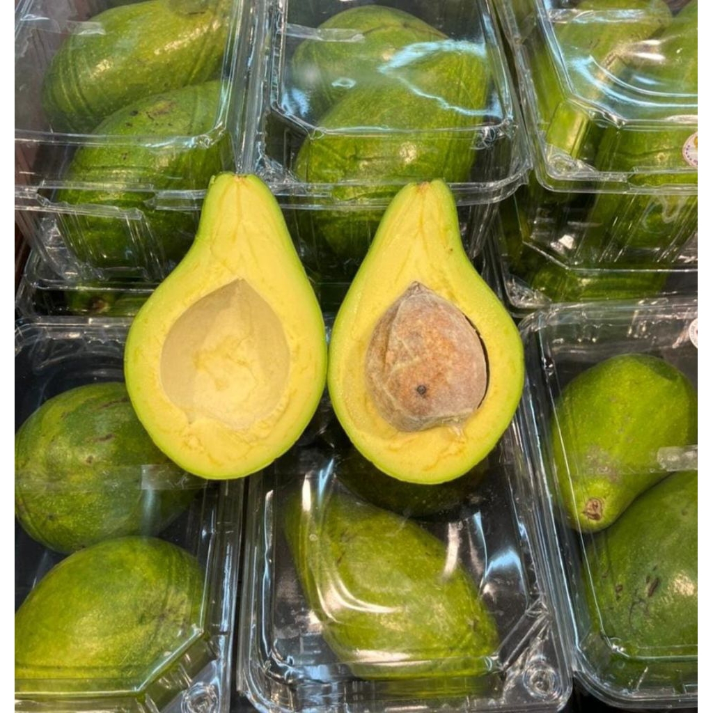 

Buah segar buah alpukat mentega super per 1kg buah