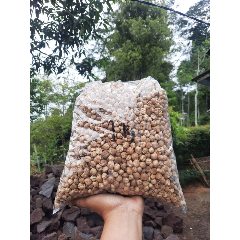 

kapulaga kering berkualitas | kapulaga rempah super | kilaoan 1 kg