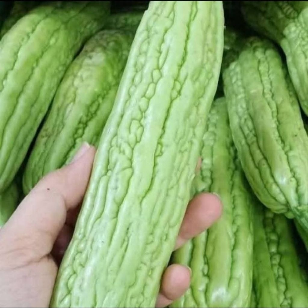 

Sayur Pare segar / Sayuran Pare fress