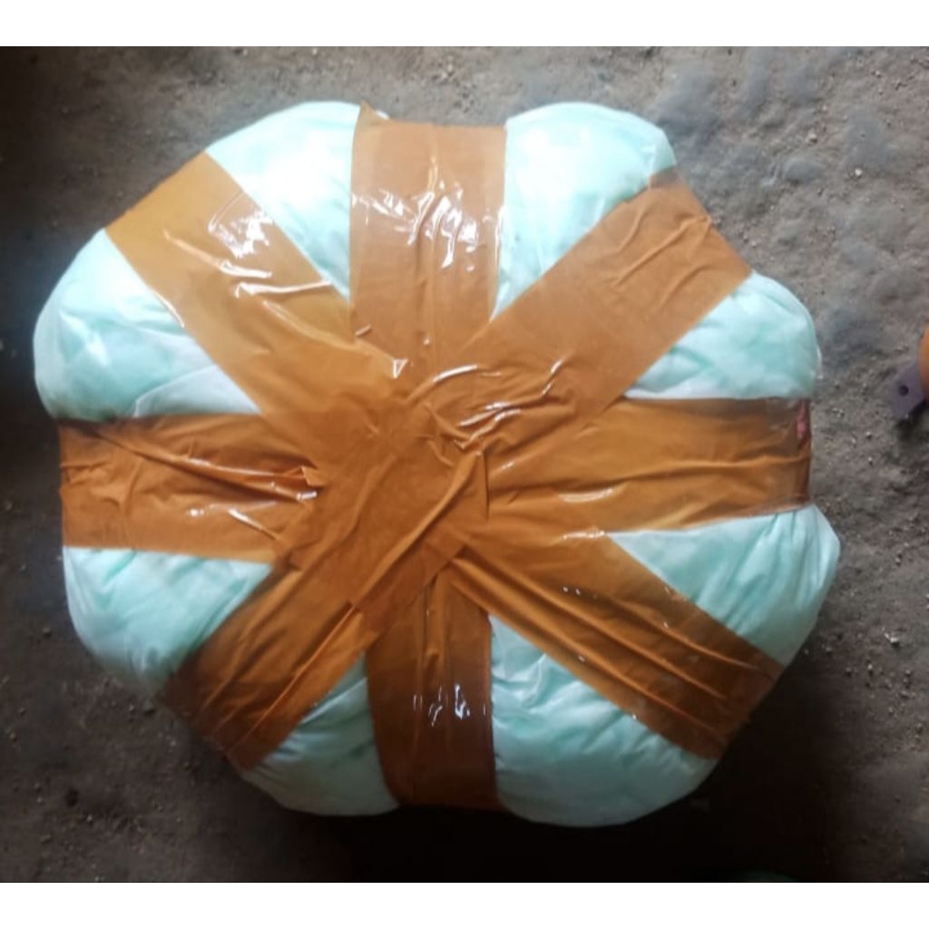 Busa Semai Seledri hidroponik 1500 biji