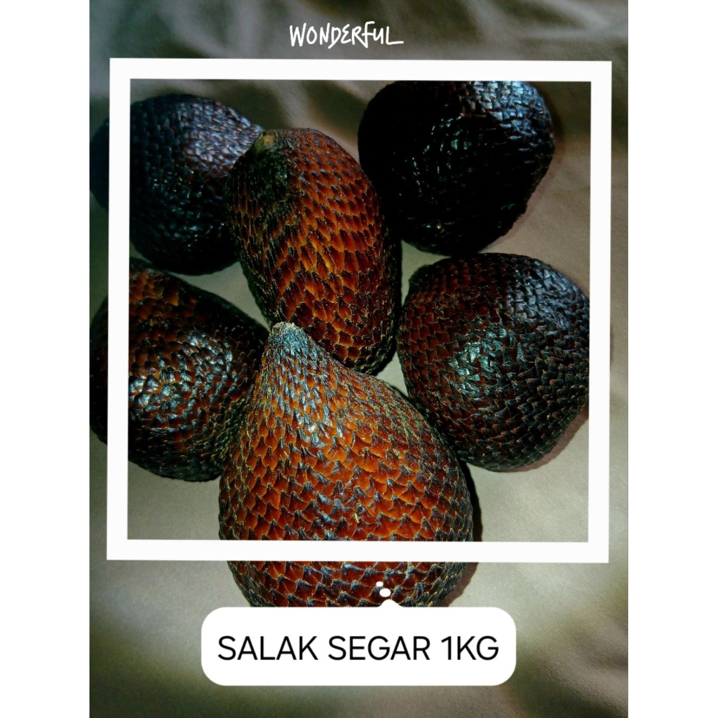 

SALAK MUNTONG SEGAR 1KG