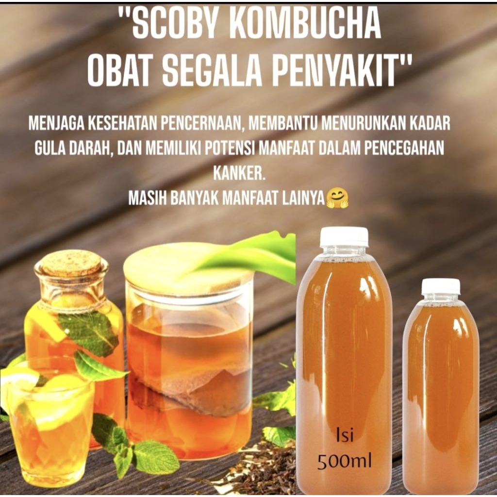 

MYVI SCOBY KOMBUCH|TEH HERBAL 500ml