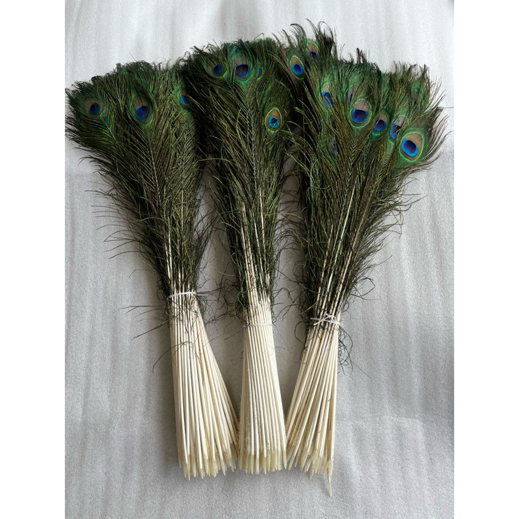 PROMO Dekorasi Rumah Cantik 50 Helai Bulu Merak Premium Replika