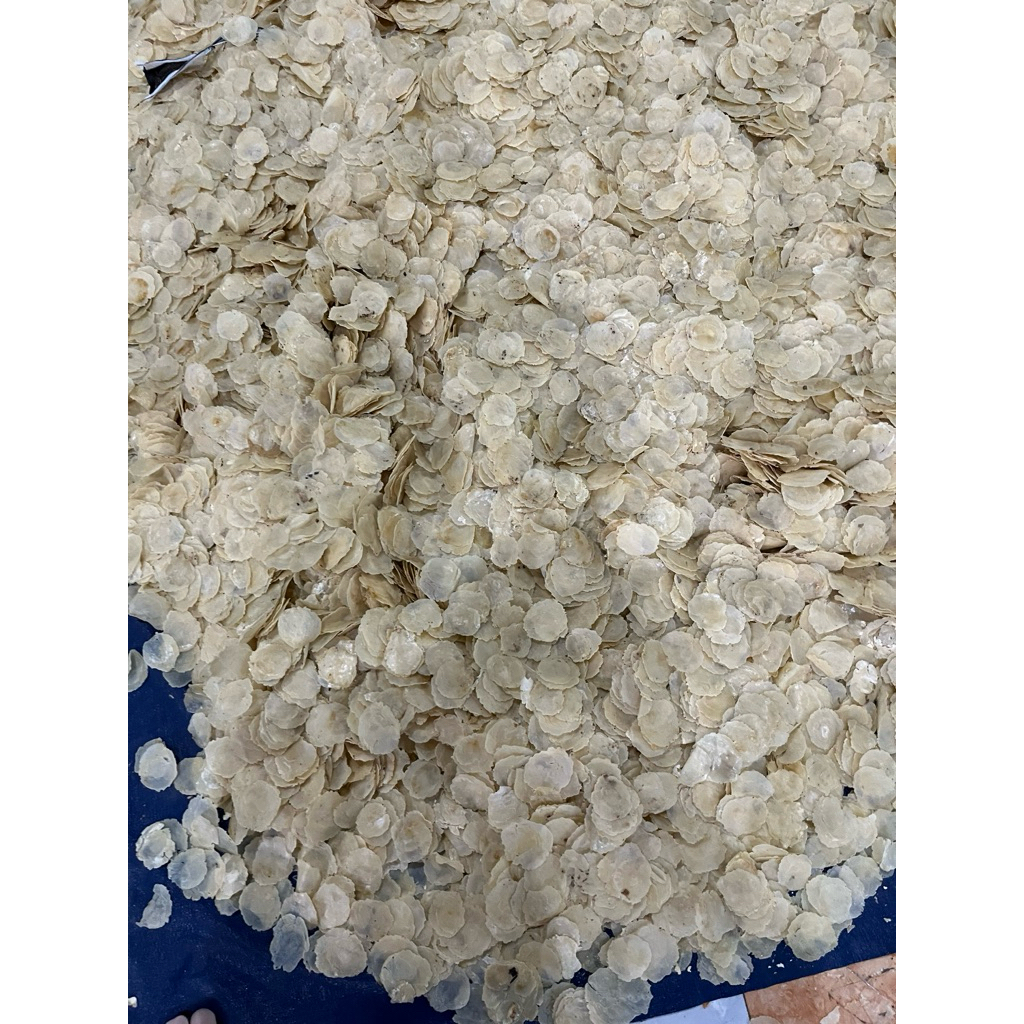 

Emping SP ( Super Tipis )Full’kering