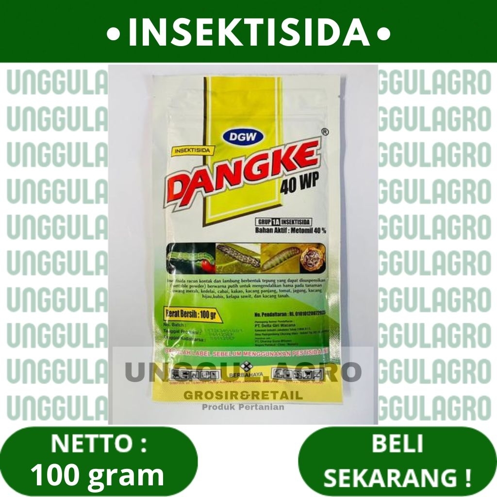 Insektisida DANGKE 40wp 100gram