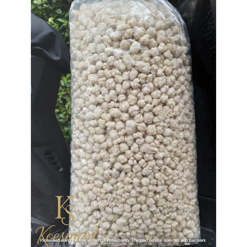 

Tiktak Cikur 500gr – Snack Khas Bandung Renyah Gurih Unik & Nagih | KOESMART