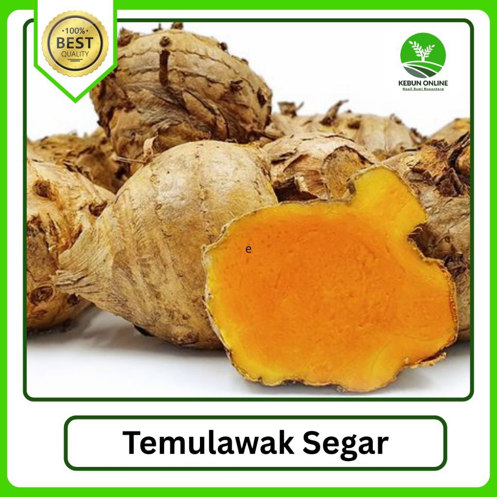 

Temulawak Fresh [500g] COD Hemat