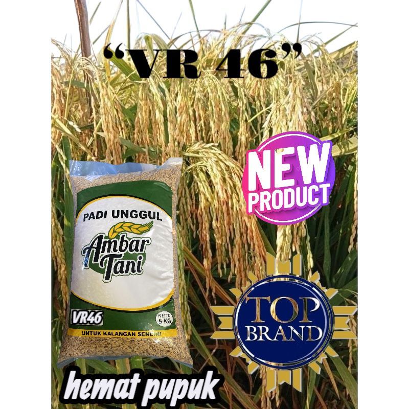 Bibit benih padi vr 46 origional kemasan 5kg