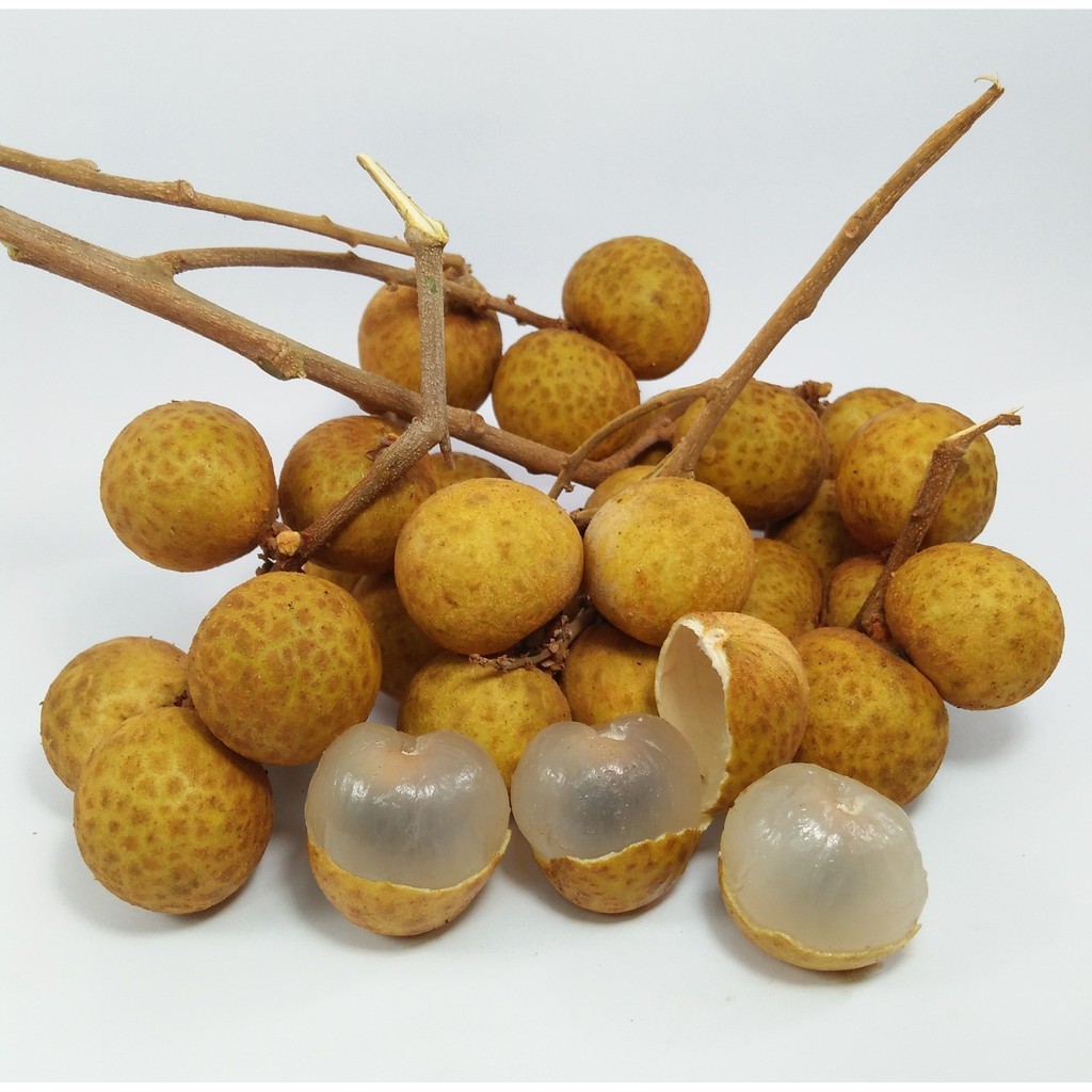 

LENGKENG BANGKOK ISTIMEWA (10)